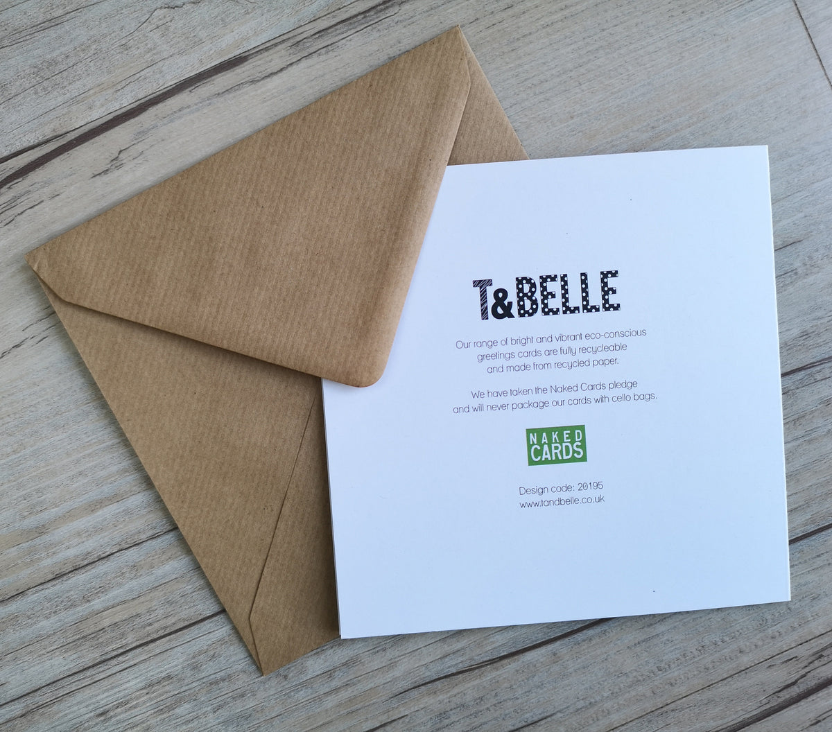 Value Pack of 5 Bright Affirmative Greetings Cards T & Belle